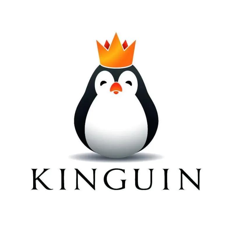 Jak skutecznie oszczędzać dzięki kodom zniżkowym Kinguin? Porady dla każdego gracza