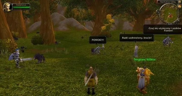 Zagraj w WoW po polsku: Przewodnik po spolszczeniu World of Warcraft